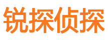 大洼市私家侦探